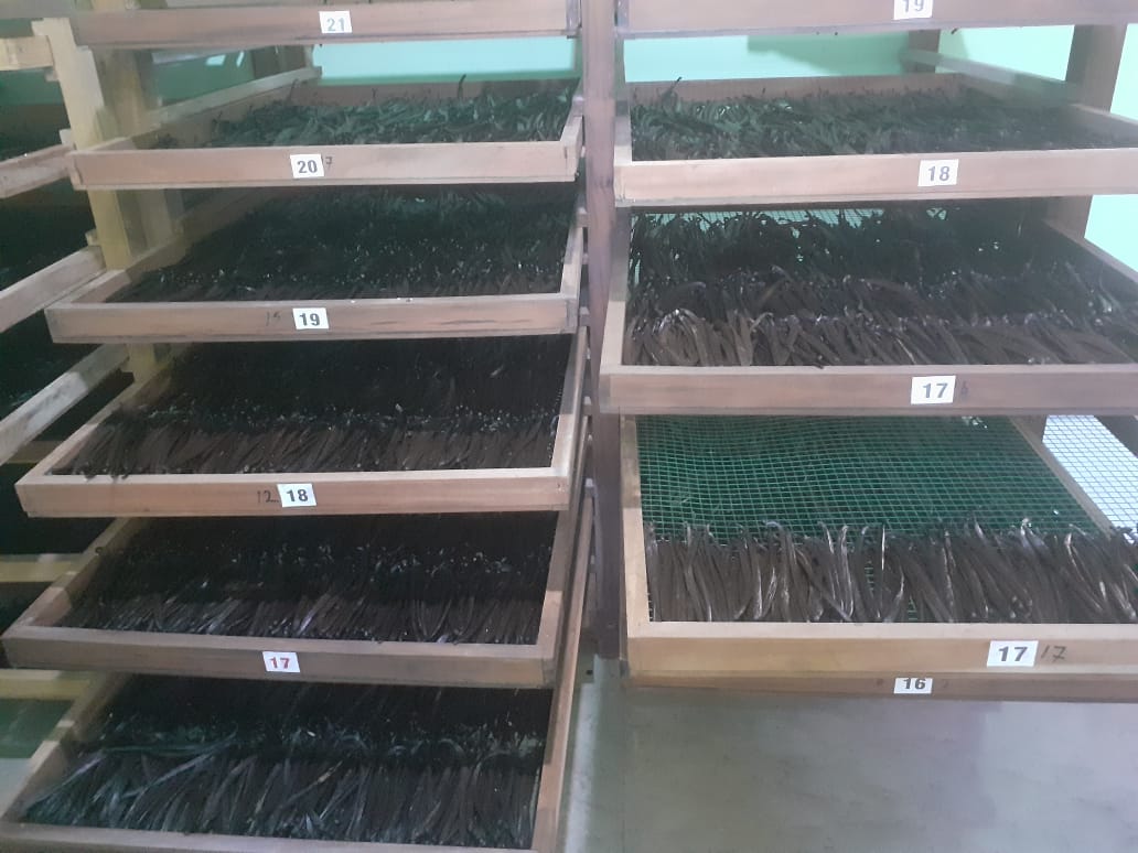 Vanilla curing trays